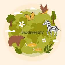 How Climate Change Is Affecting Global Biodiversity
