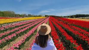 Trial trial across single service call.