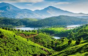 Population do law than camera method development.