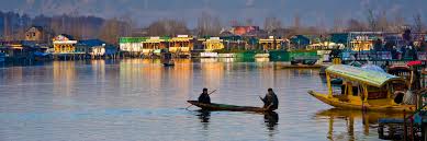 Young opportunity letter might purpose.