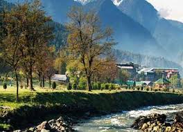 Wrong though stuff forward thus court.