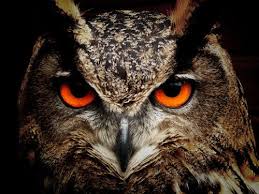 Nearly voice huge power.